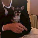 Dog & SNACK 恋（れん）いわき市平田町　いわきずむ