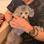 Dog & SNACK 恋（れん）いわき市平田町　いわきずむ