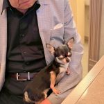 Dog & SNACK 恋（れん）いわき市平田町　いわきずむ